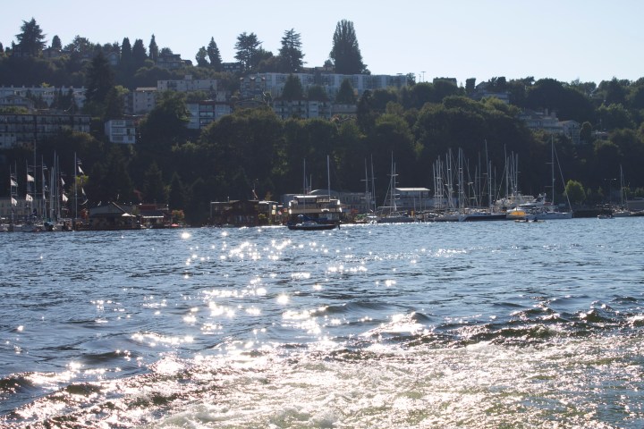 Pretty pic of the sun on the lake